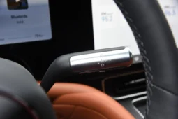 
										AITO M9 EV full									