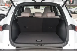 
										BYD Tang DM-i full									