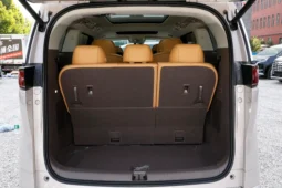 
										Denza D9 EV full									