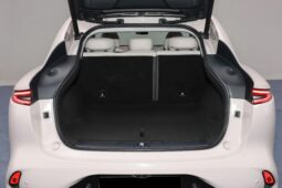 
										IM Motors LS6 full									