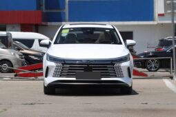 BYD Destroyer 05