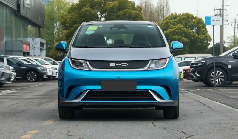 Imgi 4 BYD Dolphin 2023 appearance